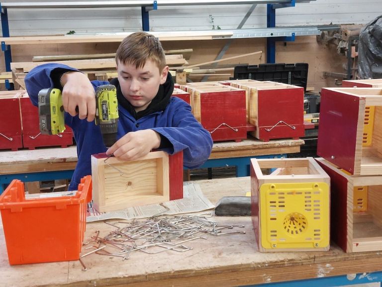 Message de la 3éme A : « Préservons les abeilles : les sentinelles de la planète ! »