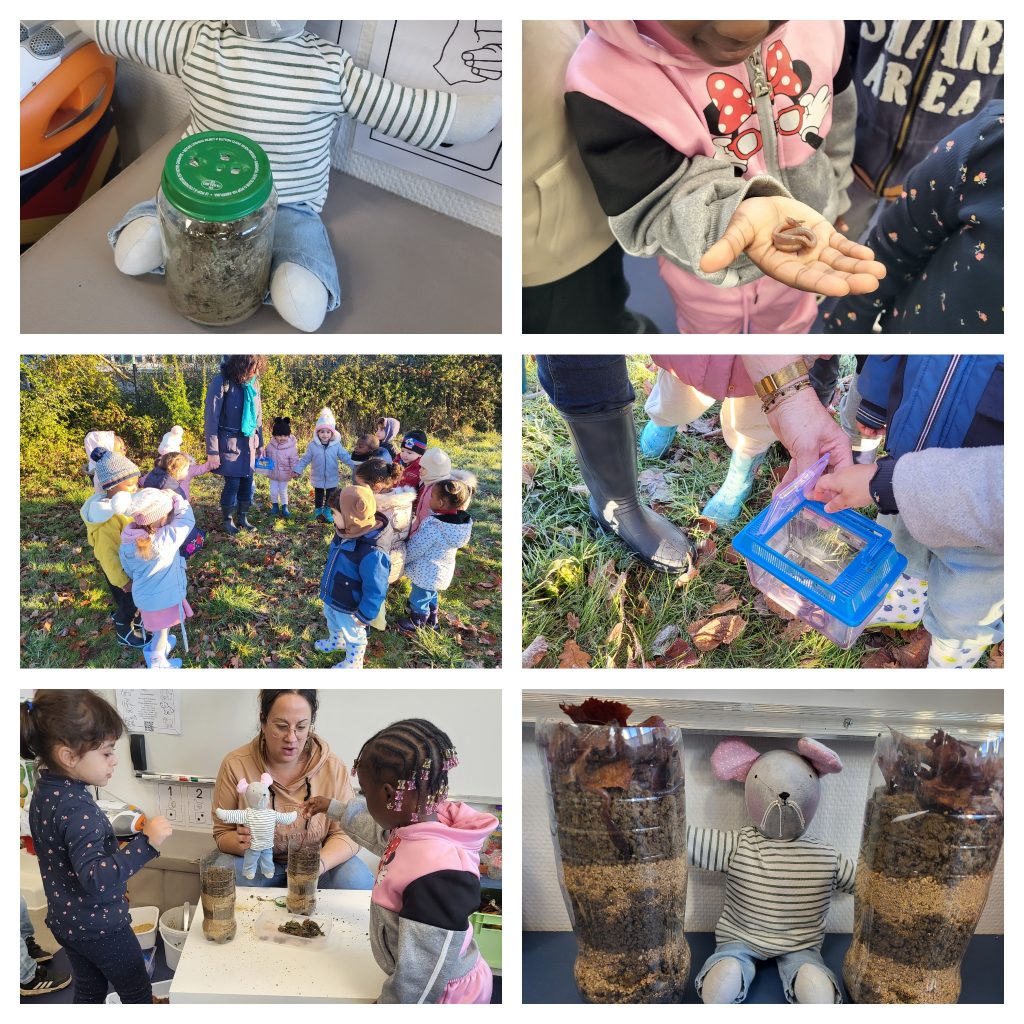 Découverte de la nature